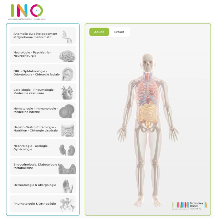 INO (interface numérique d'orientation)