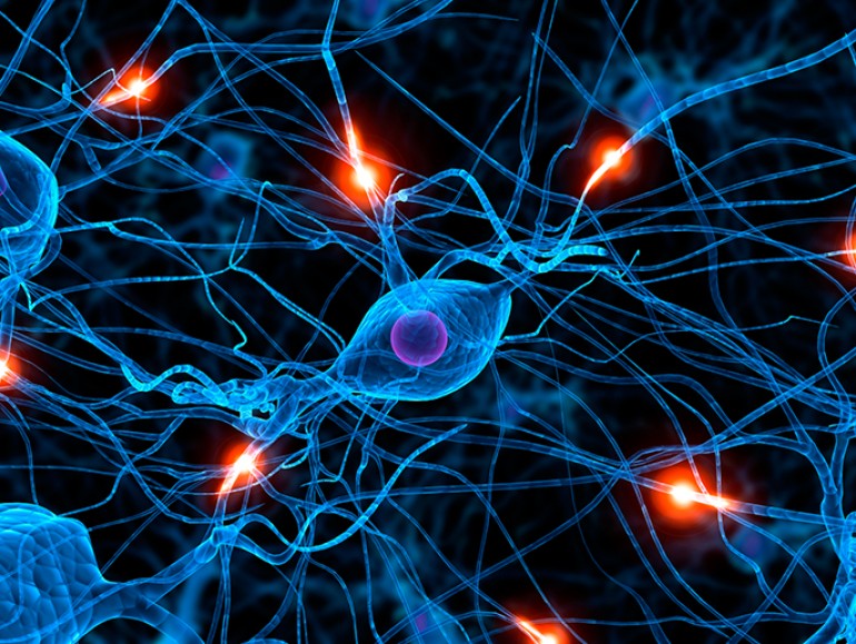 Epilepsie sévère de l’enfant - N°1